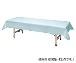 アズワン フリーサイズ診察台カバー 青 1100×2300mmNC8-7026-018-7026-02