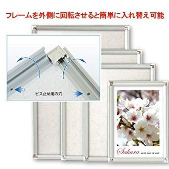 アルテ ポップフレーム A2 シルバー  DR-A2-SVの通販は 6,382円