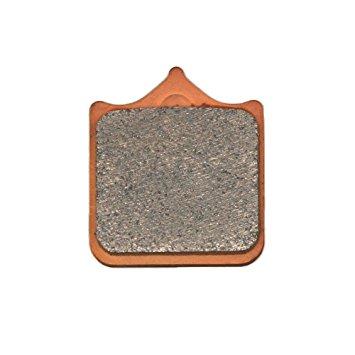 DAYTONA デイトナ ゴールデンパッドX(F)999S(02) (97176)