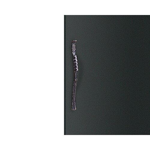 飯田朋秀のE-Control ーD.C.飯田の未来整体購入者限定含むDVDセット その他