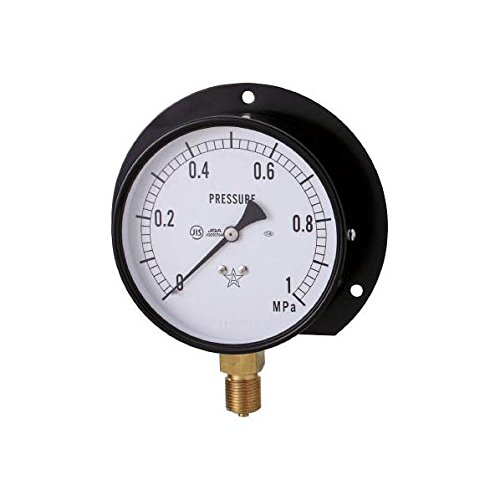 右下精器製造 スター (圧力計) S-42-10MP 3083934