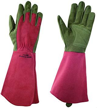 東和コーポレーション ウエストカウンティーローズ ルビー 431Lの通販は 5,489円