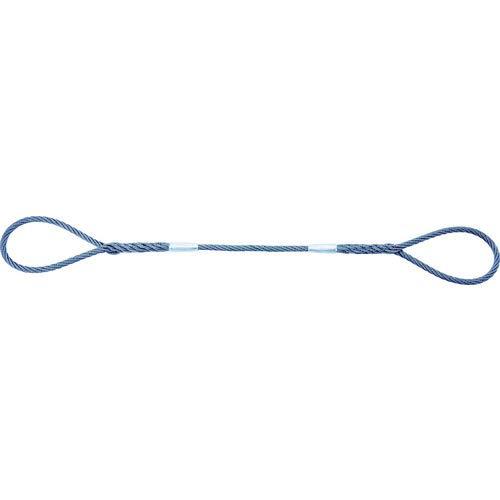 TRUSCO トラスコ中山 TRUSCO Wスリング ソフトタイプ ケーブルレイド 12mmX1.0m