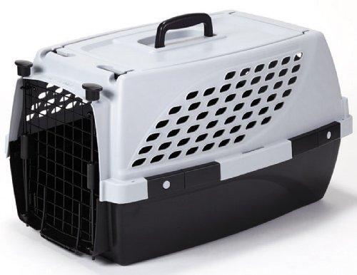 テトラ ファーストラックス ペットスイート Mの通販は 4,671円