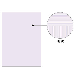 ヒサゴ A4 コピー判別用紙 両面大入り (BP2110Z)