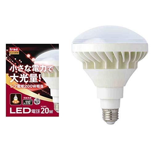 三共コーポレーション TRAD LED交換球 2400lm  CLD-20Wの通販は