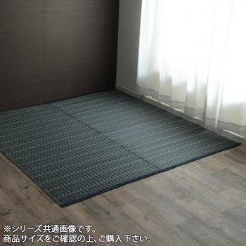 イケヒコ 洗える PPカーペット アウトドア ペット ネイビー 江戸間10畳(約435×352cm)