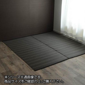 イケヒコ 洗える PPカーペット アウトドア ペット ブラウン 本間8畳(約382×382cm)