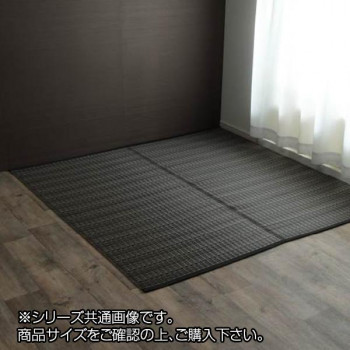 イケヒコ 洗える PPカーペット アウトドア ペット ブラウン 本間10畳(約477×382cm)