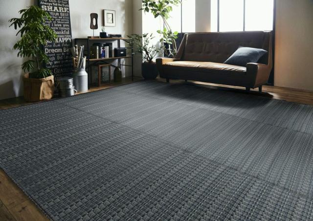 イケヒコ 洗える PPカーペット アウトドア ペット ネイビー 本間8畳(約382×382cm)の通販は