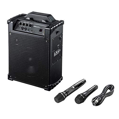 SANWASUPPLY サンワサプライ MM-SPAMP10 43,890円