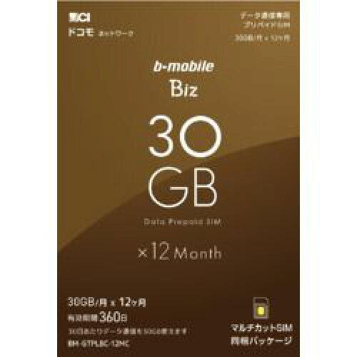 日本通信 b-mobile Biz SIMパッケージ(DC/マルチ)(BM-GTPLBC-12MC) 49,749円