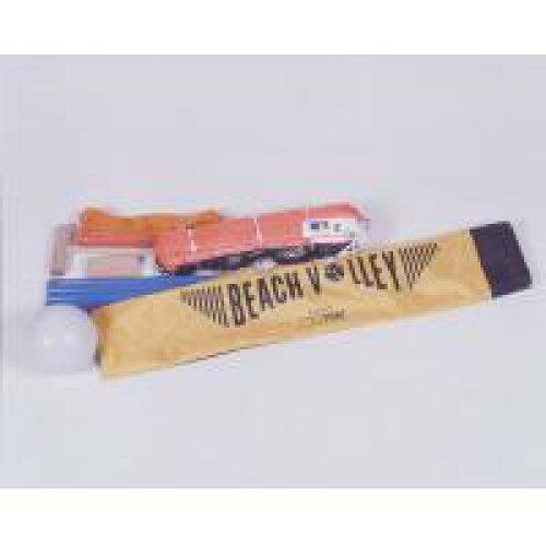 鵜沢ネット ビーチバレーボールセット(携帯用)  ネット、ポール、ボール他 33203 (1628911)