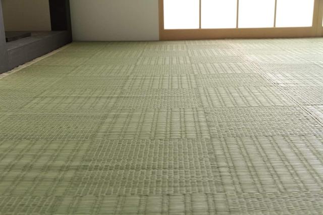 イケヒコ 純国産 い草 上敷き カーペット 格子柄 江戸間8畳(約348×352cm)