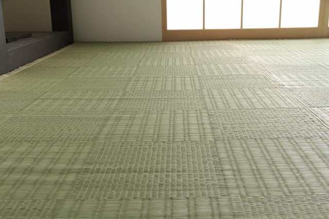 IKEHIKO 純国産 い草 上敷き カーペット 格子柄 本間4.5畳 (約286×286cm)