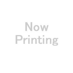 EPSON エプソン SC-S80650L用インクパック(オレンジ/1500ml/2本パック) 型番:SC19ORL2