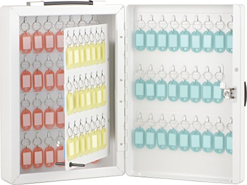 ナカバヤシ キーボックス100個収容 NKB-E10 952169 (1009527)の通販は 7,660円