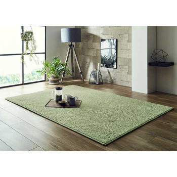 イケヒコ 日本 抗菌 消臭 清潔 オーダー ラグ カーペット 防炎 アレルキャッチャー 抗アレル物質 ダニ対策 シャギー 無地 ペールブルー 約3.9畳 約200×300cmの通販は 27,980円