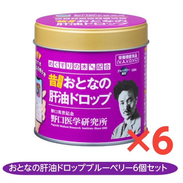 おとなの肝油ドロップブルーベリープラス 100粒 6個セット めぐすりの木 ビタミンA ビタミンD ビタミンC 肝油 野口医学研究所