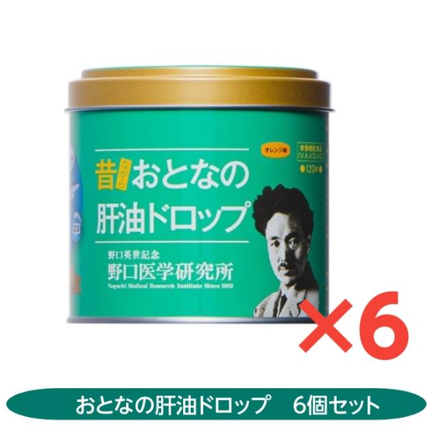昔ながらおとなの肝油ドロップ 100粒　6個セット　オレンジ味　葉酸　鮫肝油　乳酸菌　野口医学研究所　ビタミンＡ　ビタミンＣ