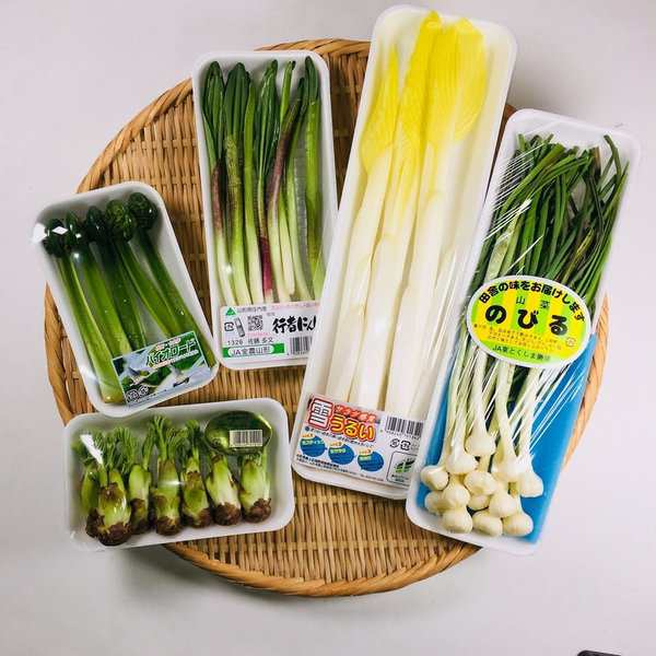 春の味覚を存分に味わえる！山菜セットの通販は 5,758円