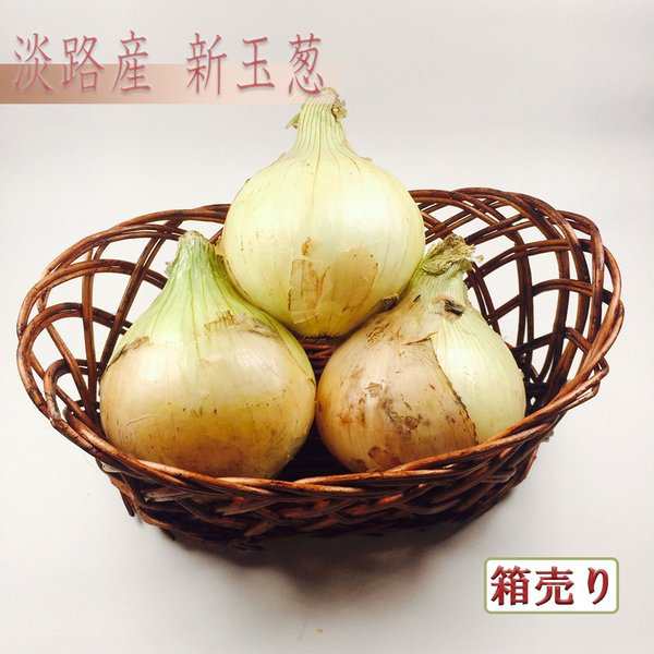 淡路産新たまねぎ（新玉葱） 箱売り