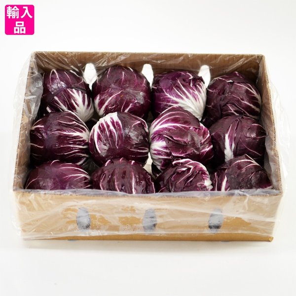 トレヴィス(トレビス) 箱売の通販は