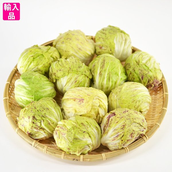 カステルフランコ 箱売の通販は 20,020円