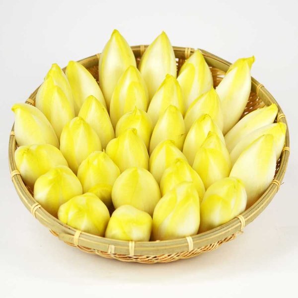 アンディーブ（チコリー） 箱売りの通販は 11,934円