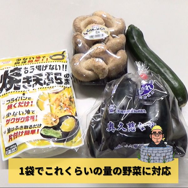 久慈砂鉄 天麩羅鍋 山王堂 25㎝