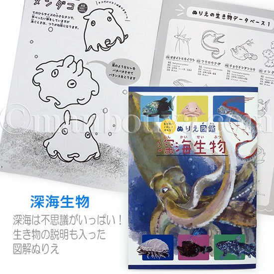 【公式】 カラリノ アート × 知育 おもちゃ おえかきセット DIY Amazon | 公式 カラリノ アート × 知育 おもちゃ おえかきセット