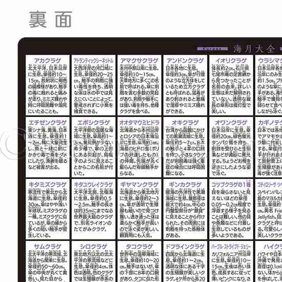 宮城県仙台市泉区でダイキン「EQ46WFHV」を設置～電気温水器を撤去～＜エコキュート交換工事例＞ | エコキュートの即日スピード交換なら急湯デポ