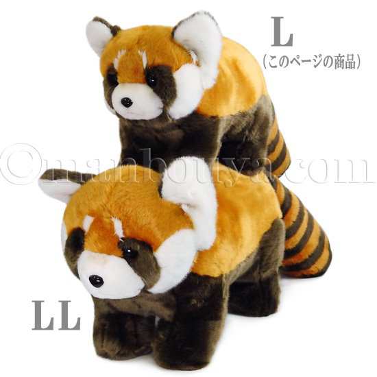 レッサーパンダ ぬいぐるみ 大きい 動物園おみやげ CUTE キュート販売 レッサーパンダ L 70cm まんぼう屋ドットコム