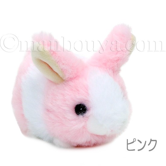 パリco | .﻿ 白いうさぎの肉球って何色かな？﻿ と調べてみたら