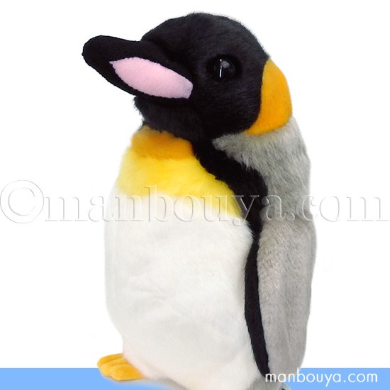 ペンギン ぬいぐるみ 水族館 グッズ キュート販売 CUTE キングペンギン くちばしピンク M 24cm まんぼう屋ドットコムの通販はau PAY  マーケット - まんぼう屋ドットコム | au PAY マーケット－通販サイト