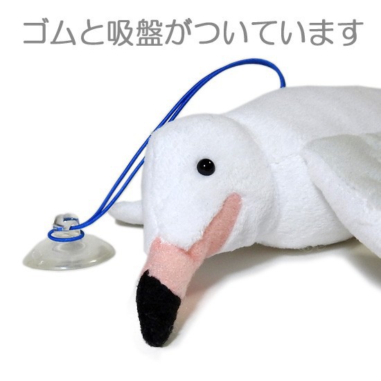 鳥グッズ カモメのぬいぐるみ A-SHOW（栄商）海のともだちmar 海鳥