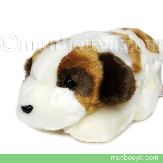 セントバーナード、特大ぬいぐるみ Amazon.co.jp: セントバーナード 犬 ぬいぐるみ 本物そっくり