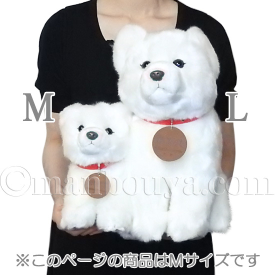 秋田犬 ぬいぐるみ 白毛 保存会 キュート販売 Cute 座り ホワイト 黒鼻 Mサイズ 23cmの通販はau Pay マーケット まんぼう屋ドットコム