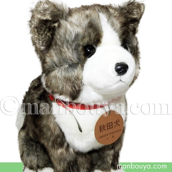 秋田犬 ぬいぐるみ 虎毛 保存会 キュート販売 CUTE 座りポーズ Lサイズ 37cm まんぼう屋ドットコムの通販は