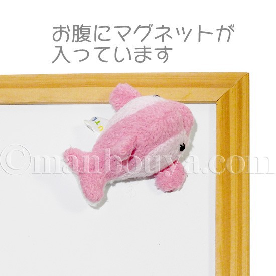イルカ ぬいぐるみ ミニ 水族館 キュート販売 CUTEマグネットシリーズ