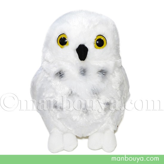 ふくろう ぬいぐるみ 鳥 雑貨 キュート販売 Cute シロフクロウ M cm まんぼう屋ドットコムの通販はau Pay マーケット まんぼう屋ドットコム