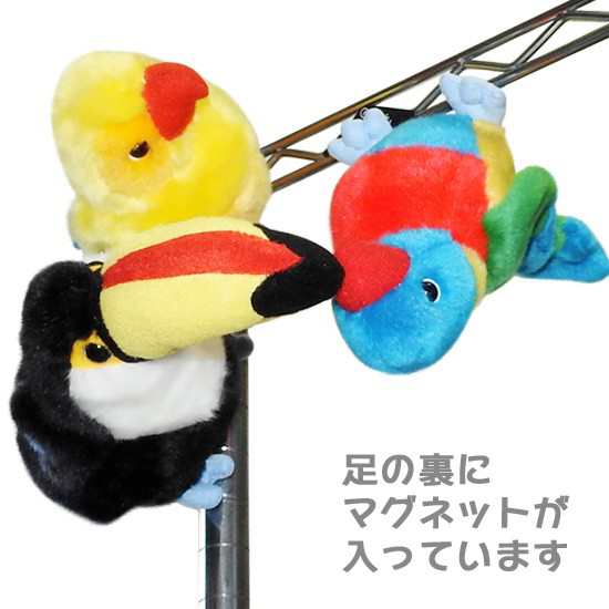 動物園 鳥 ぬいぐるみ オオハシ キュート販売 CUTE safari collection オニオオハシ S 16cm  まんぼう屋ドットコムの通販はau PAY マーケット まんぼう屋ドットコム au PAY マーケット－通販サイト