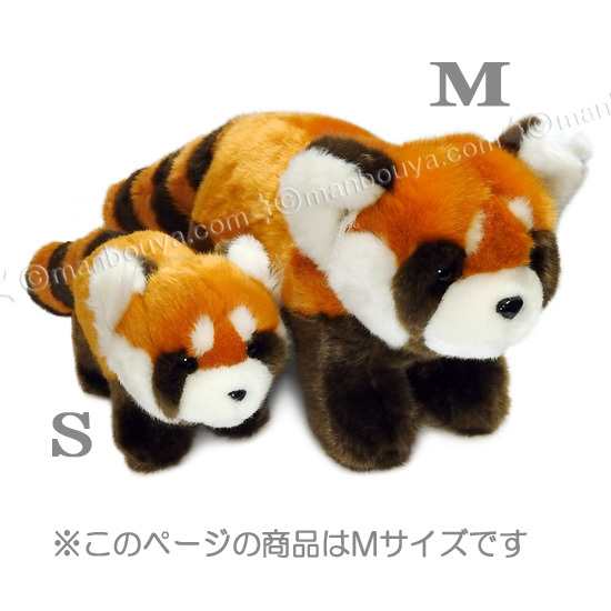 レッサーパンダ ぬいぐるみ 動物園 キュート販売 CUTE レッサーパンダ