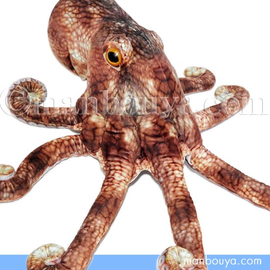 タコ ぬいぐるみ リアル TST 太洋産業貿易 さかなクン おさかなぬいぐるみ マダコ 50cm まんぼう屋ドットコム 6,600円