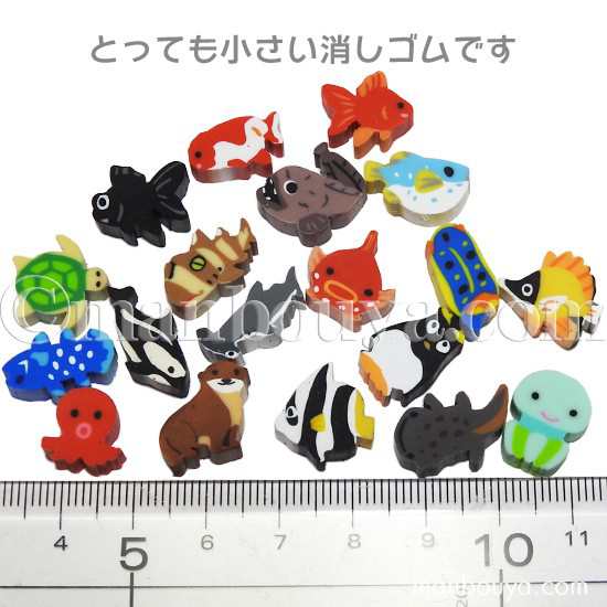 ミニ消しゴム かわいい 文房具 ザ・アクセス プチボトルパラダイス サンショウウオ 10個【メール便発送可】まんぼう屋ドットコム｜au PAY  マーケット