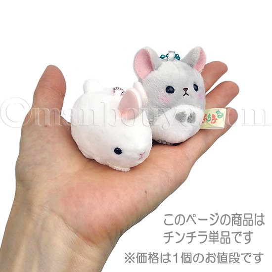 チンチラ ぬいぐるみ ねずみ ぷちまる 動物園 アミューズ AMUFUN アニマルズDX チンチラ グレー  5cm【メール便発送可】まんぼう屋ドットコムの通販はau PAY マーケット - まんぼう屋ドットコム | au PAY マーケット－通販サイト