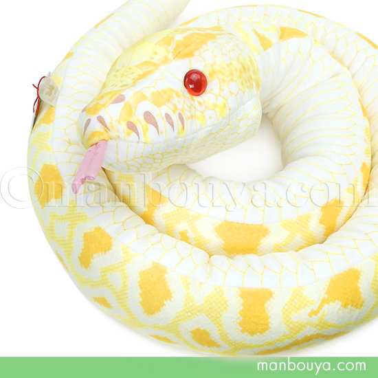 vbp / vision of ball python on X: 