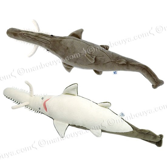 高品質国産【あやこさん専用】ノコギリエイの角　ノコギリサメの角　サメの歯 置物