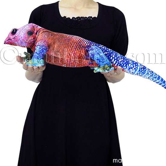 リアル トカゲ ぬいぐるみ 爬虫類 ムワンザ アガマトカゲ