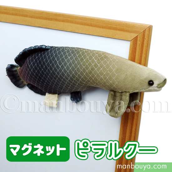 ピラルク ぬいぐるみ 魚 テイクオフ takeoff サファリマグネット ピラルクー 15.5cm【メール便発送可】まんぼう屋ドットコムの通販はau  PAY マーケット - まんぼう屋ドットコム | au PAY マーケット－通販サイト